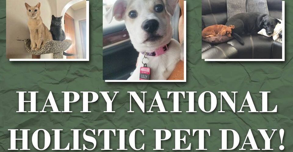 In honor of National Holistic Pet Day, here's a handful of pets that are close t...