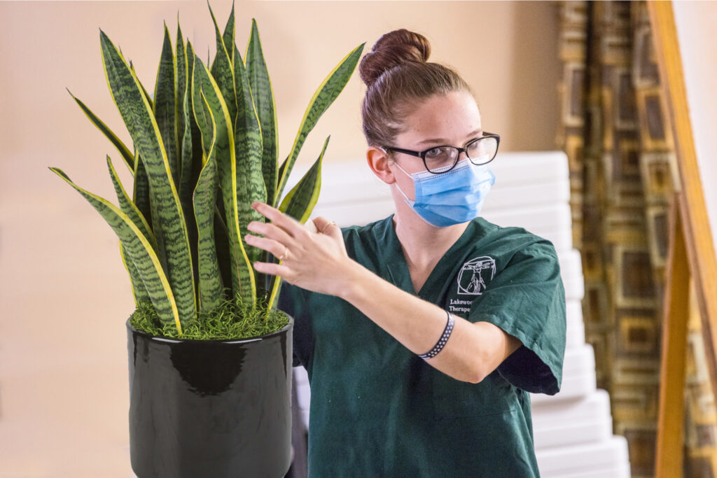 Today is National Houseplant Appreciation Day and it seems that the plants are t… - Lakewood School