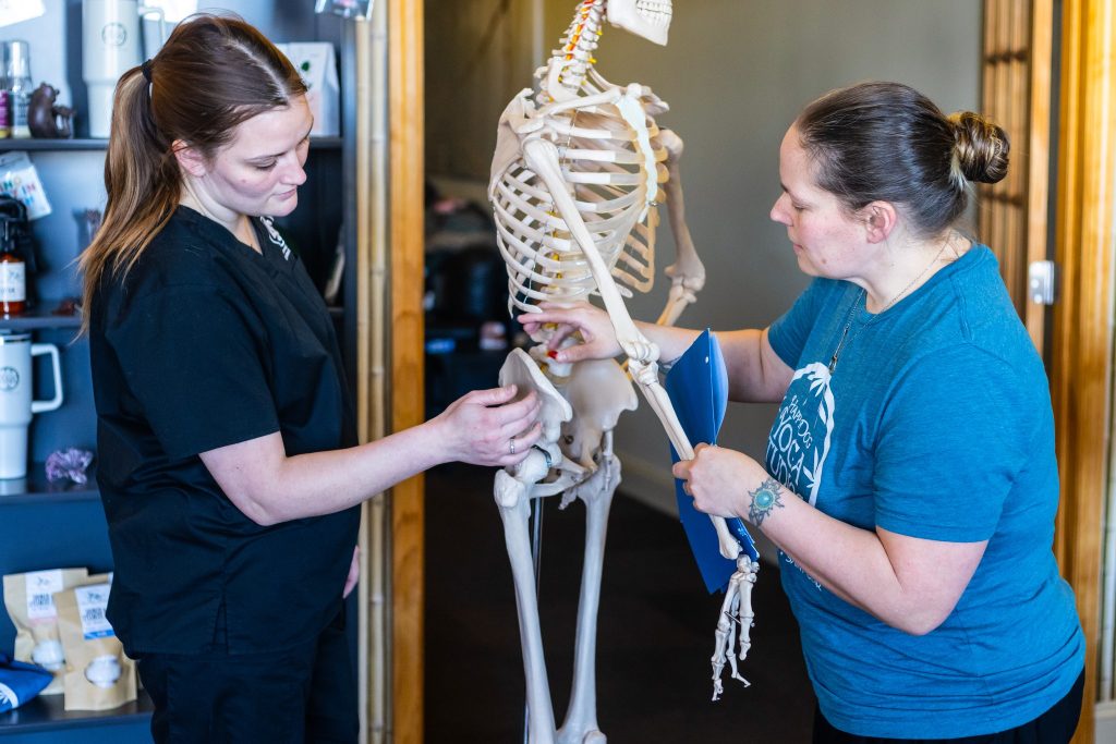 Last week a handful of students from Class 69 met at Happy Dog Yoga Studios And Wellness Boutique with Graduate Assistant Michelle Biberston to do some reviewing for their upcoming Kinesiology practic... 2 Last week a handful of students from Class 69 met at Happy Dog Yoga Studios And Wellness Boutique with Graduate Assistant Michelle Biberston to do some reviewing for their upcoming Kinesiology practic... - Lakewood School of Therapeutic Massage